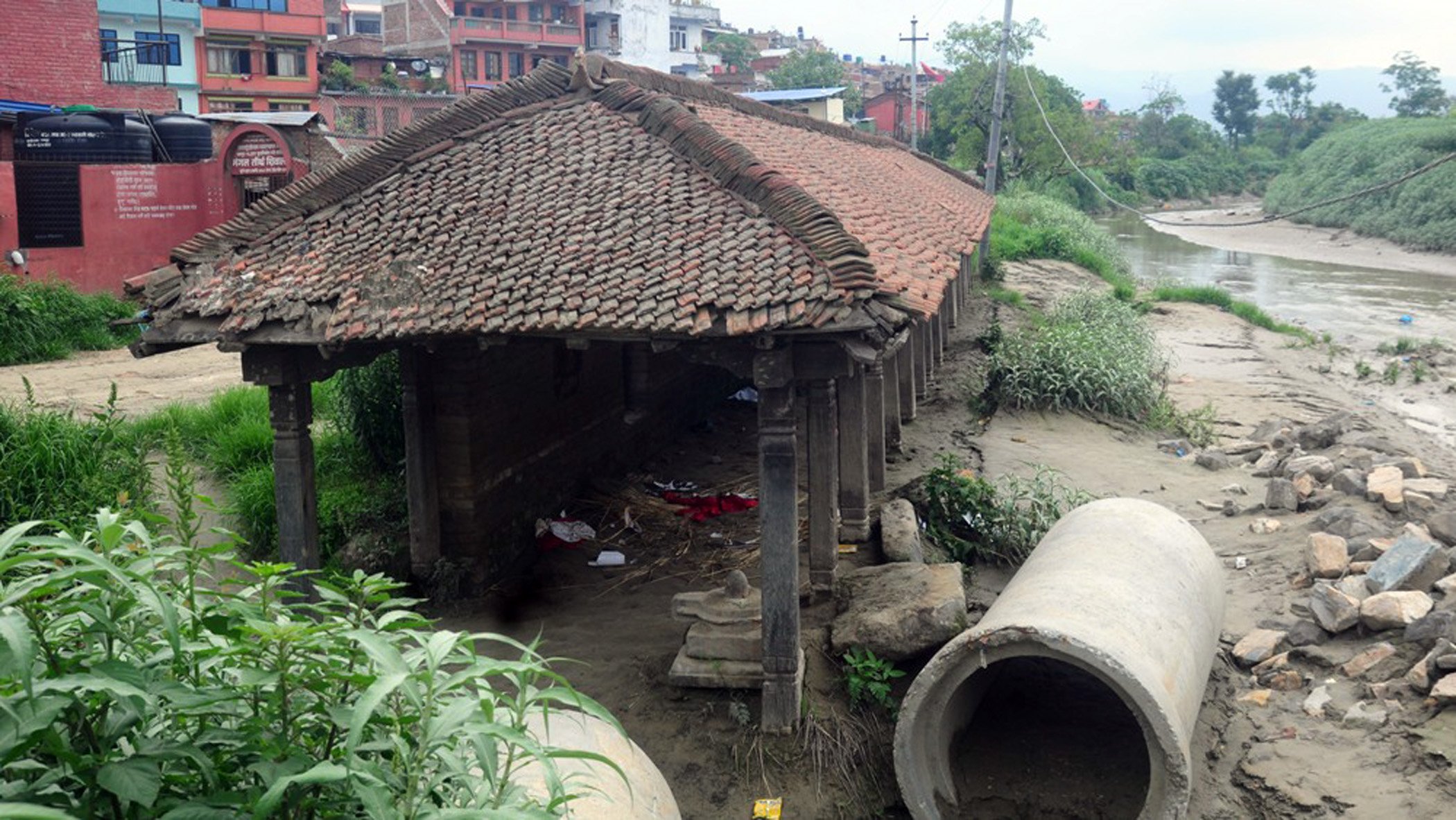 संरक्षणको पखाईमा फल्चा