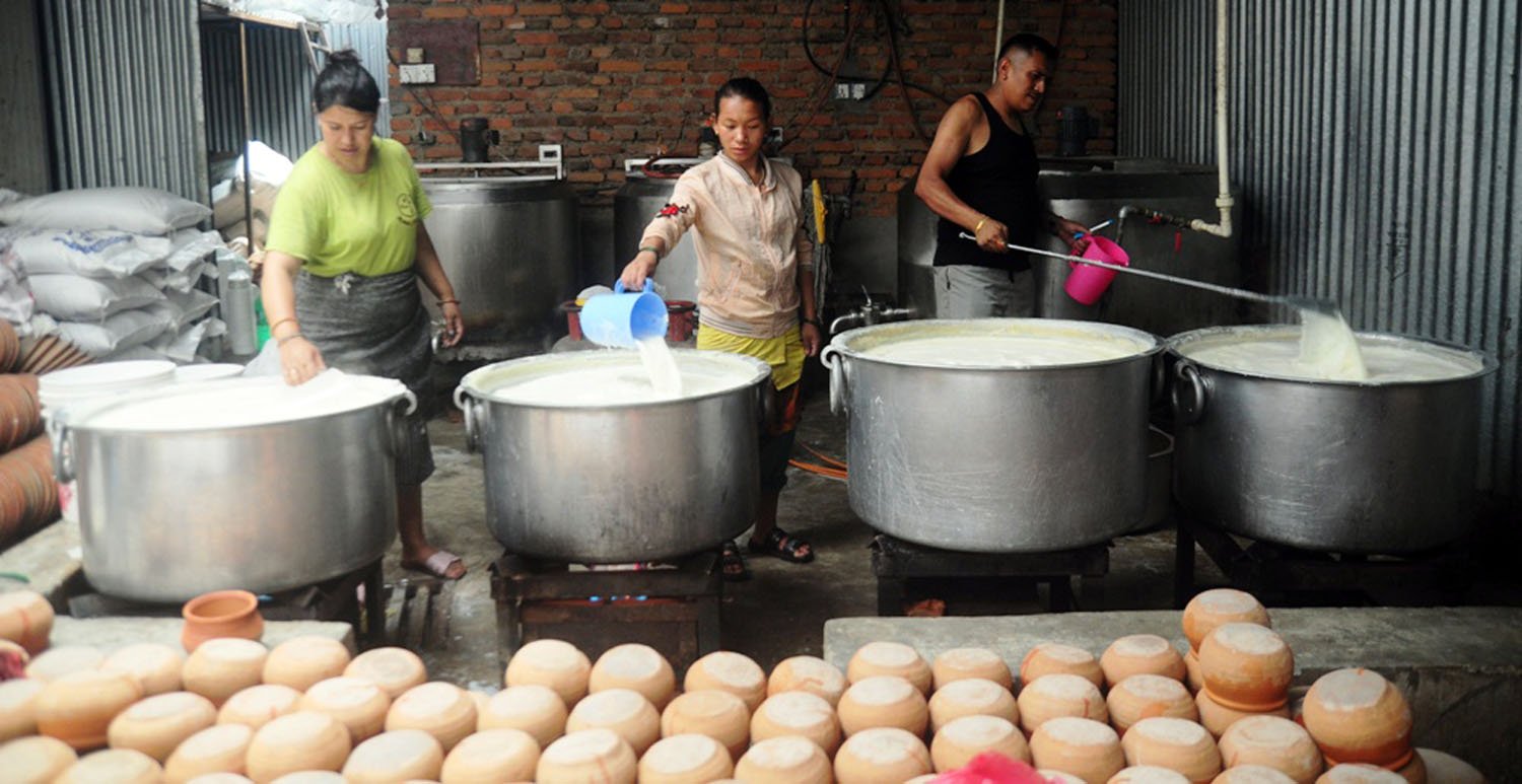 जुजु धौ तयार गर्दै