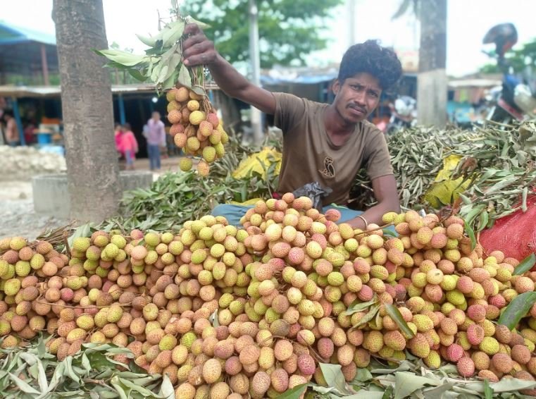 एक झुप्पा लिच्चीको सय