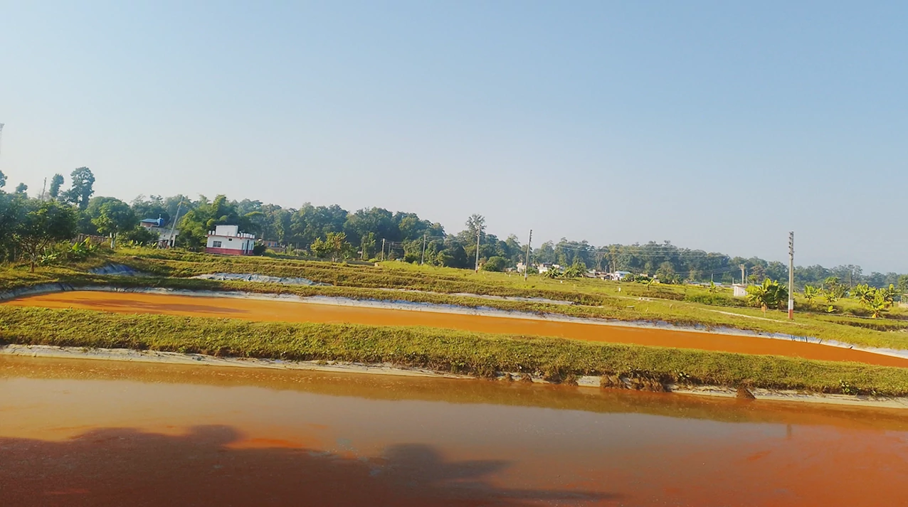 दुई करोडभन्दा बढी माछाका भुरा उत्पादन