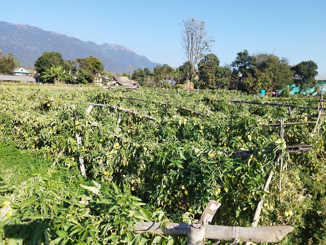 समूहबाट आर्थिक समृद्धि खोज्दै दाङका महिला
