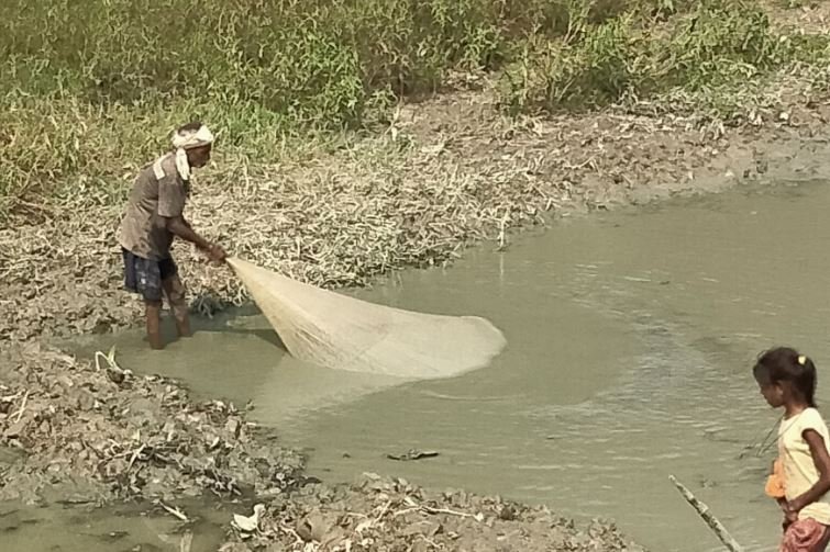 जाल फ्याक्दै माझी