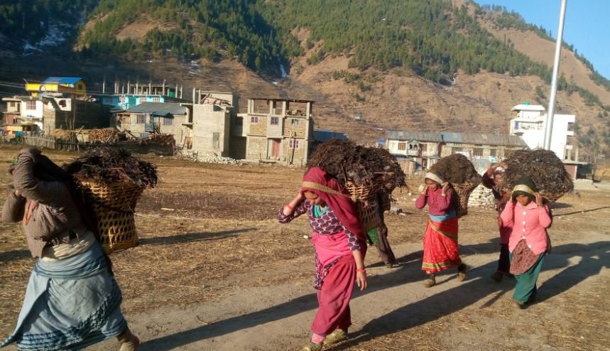 खेतमा  मल लैजाँदै किसान