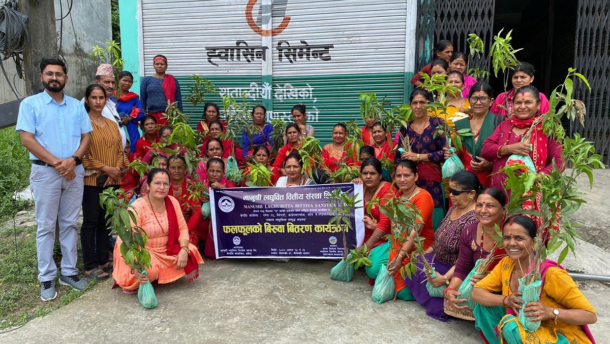 मानुषी लघुवित्तद्वारा ग्राहक सदस्यहरूलाई फलफूलका बिरुवा वितरण