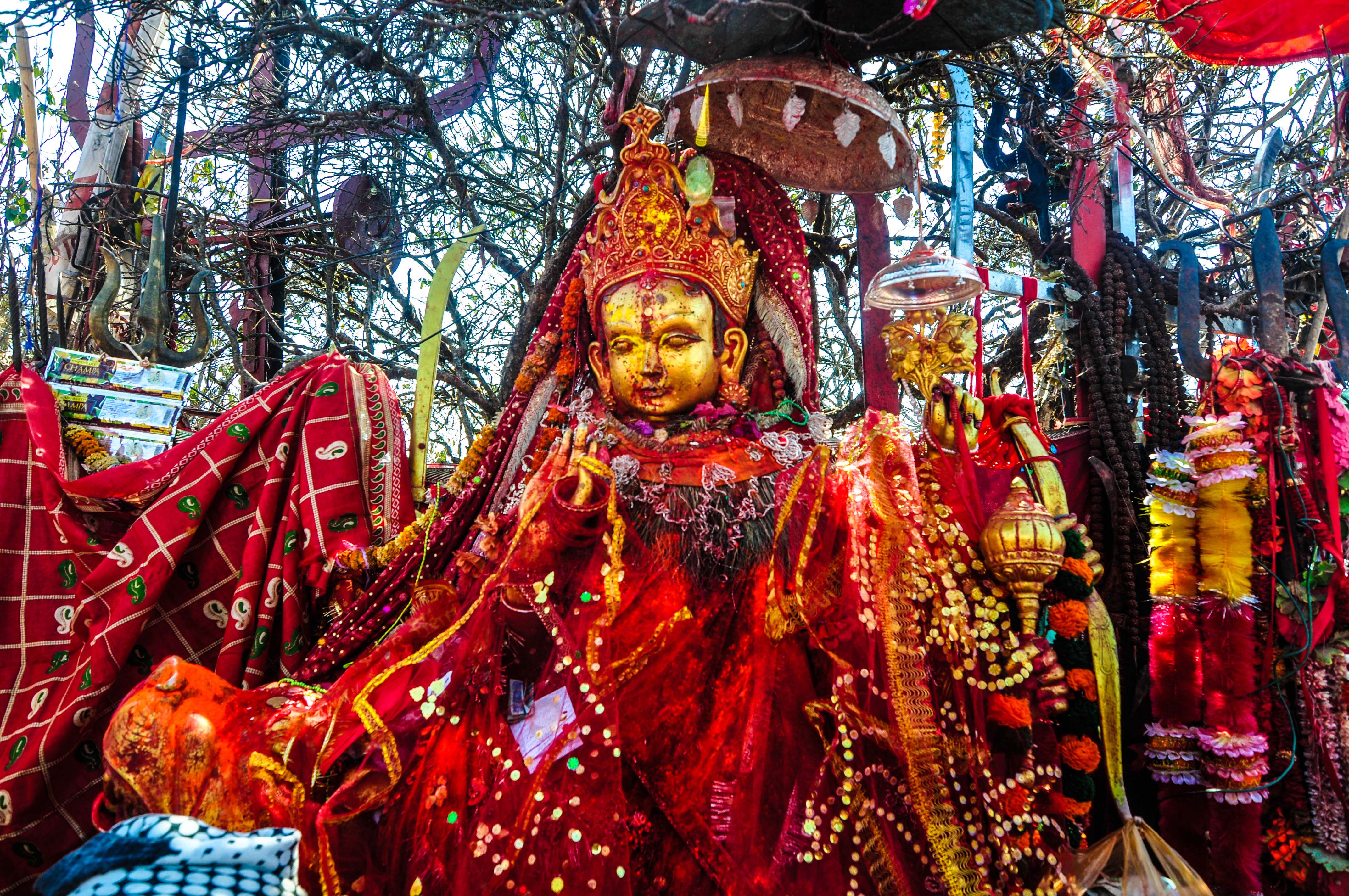 गत वर्ष दुई लाख २१ हजारले गरे पाथीभराको दर्शन