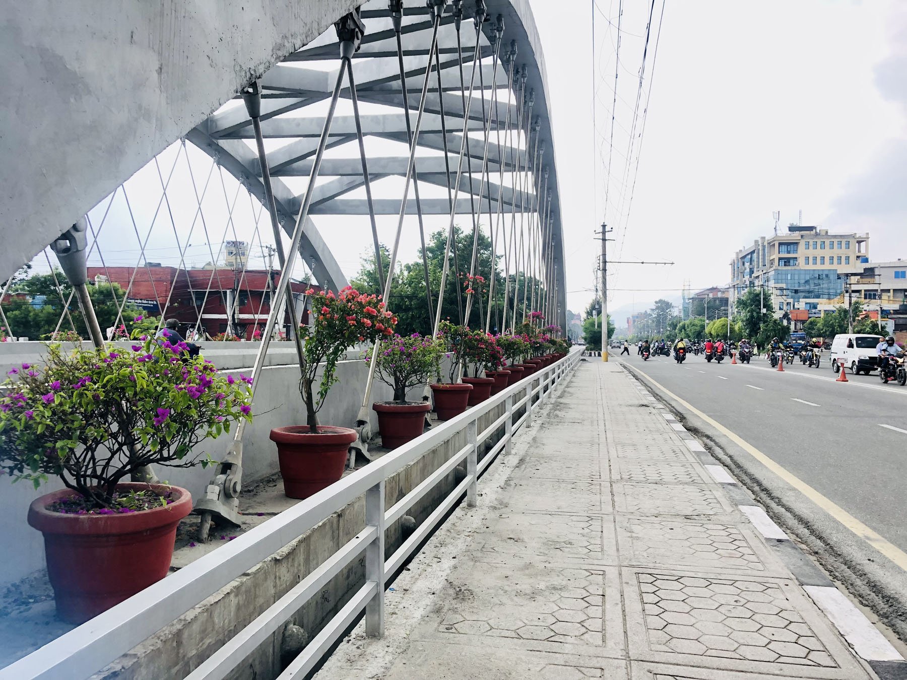 सजाईएका फूलका गमला