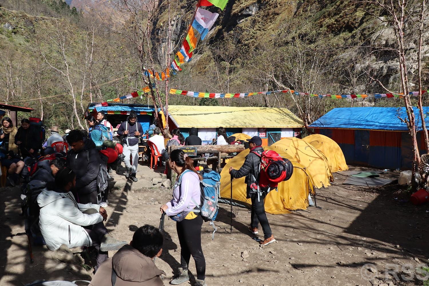 अन्नपूर्ण आधार शिविर र मुस्ताङमा पर्यटकको लर्को, आवास व्यवस्थापन चुनौतीपूर्ण