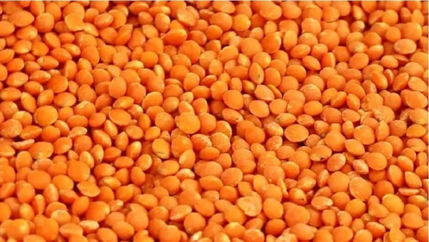 मुसुरो आयात बढ्दो