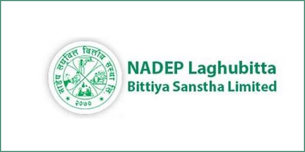 नाडेप लघुवित्तको सीईओमा अर्याल नियुक्त