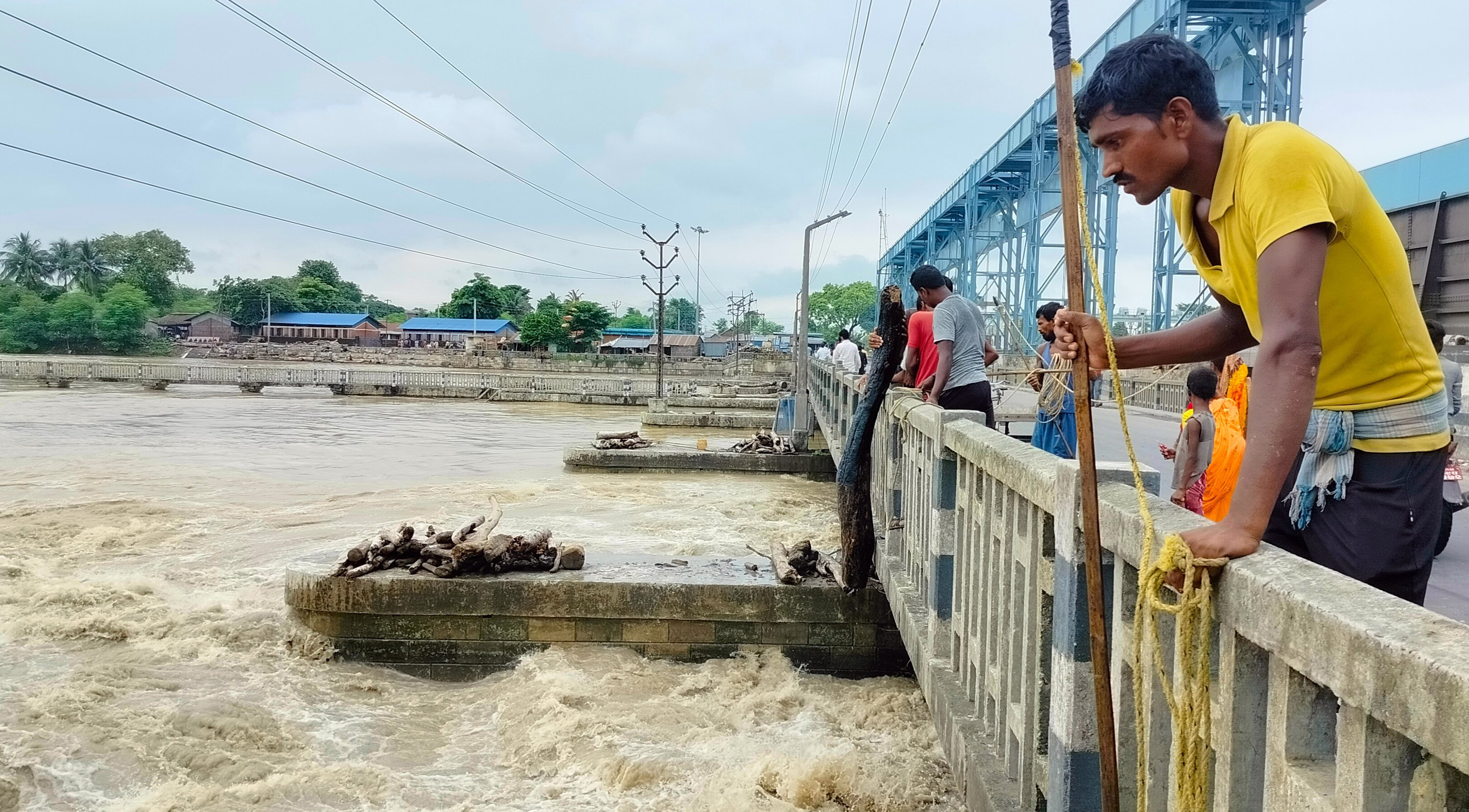 सप्तकोशीले बगाएर ल्याएको दाउरा निकालिँदै