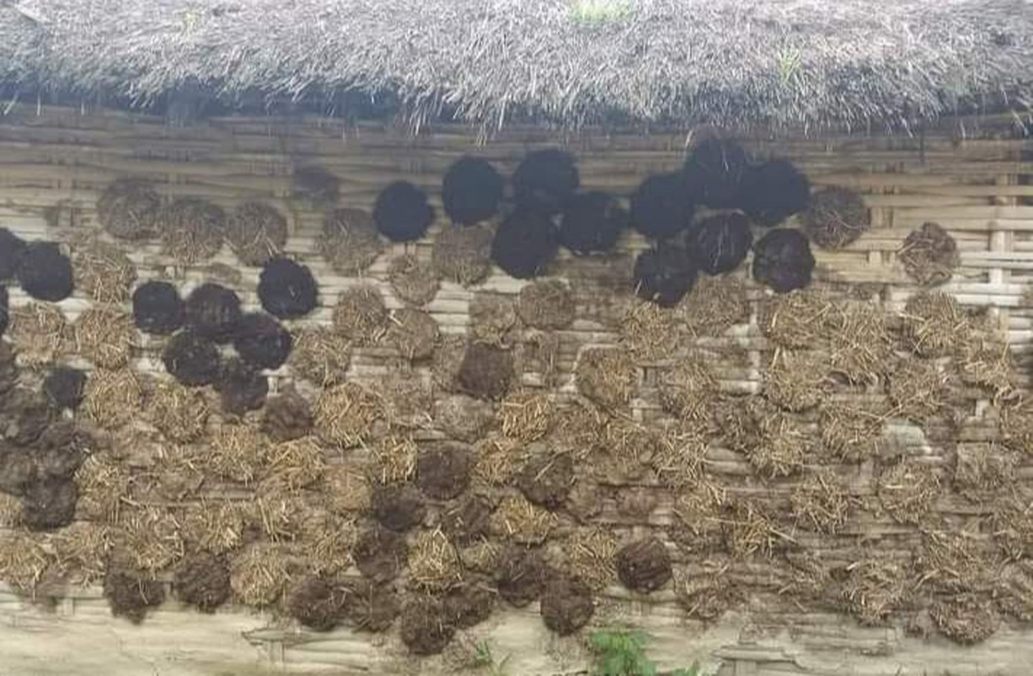 गोबरबाट बनाइएको चिपरी
