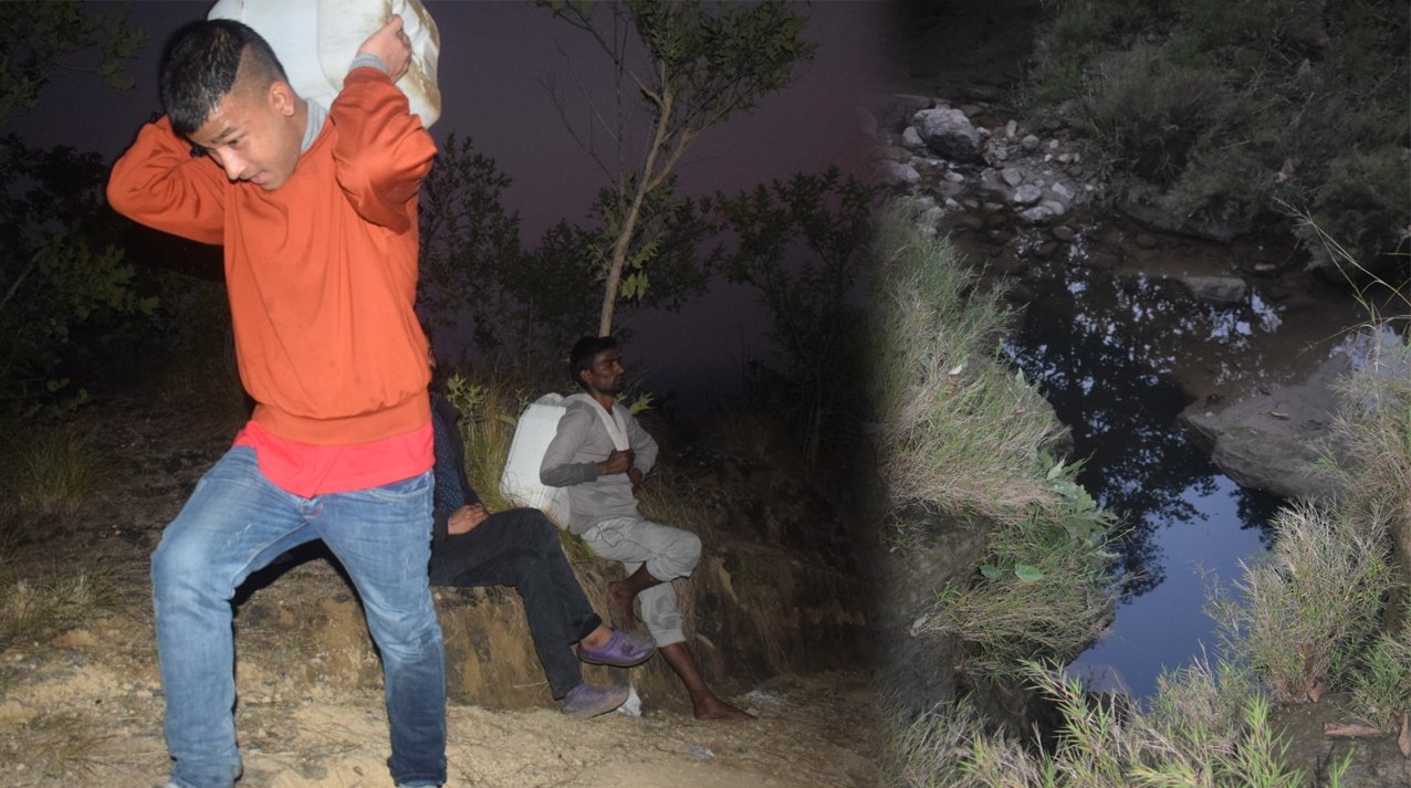 pani photo