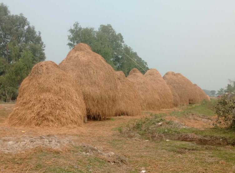 धानको पराल नजलाउन नार्कको  आग्रह