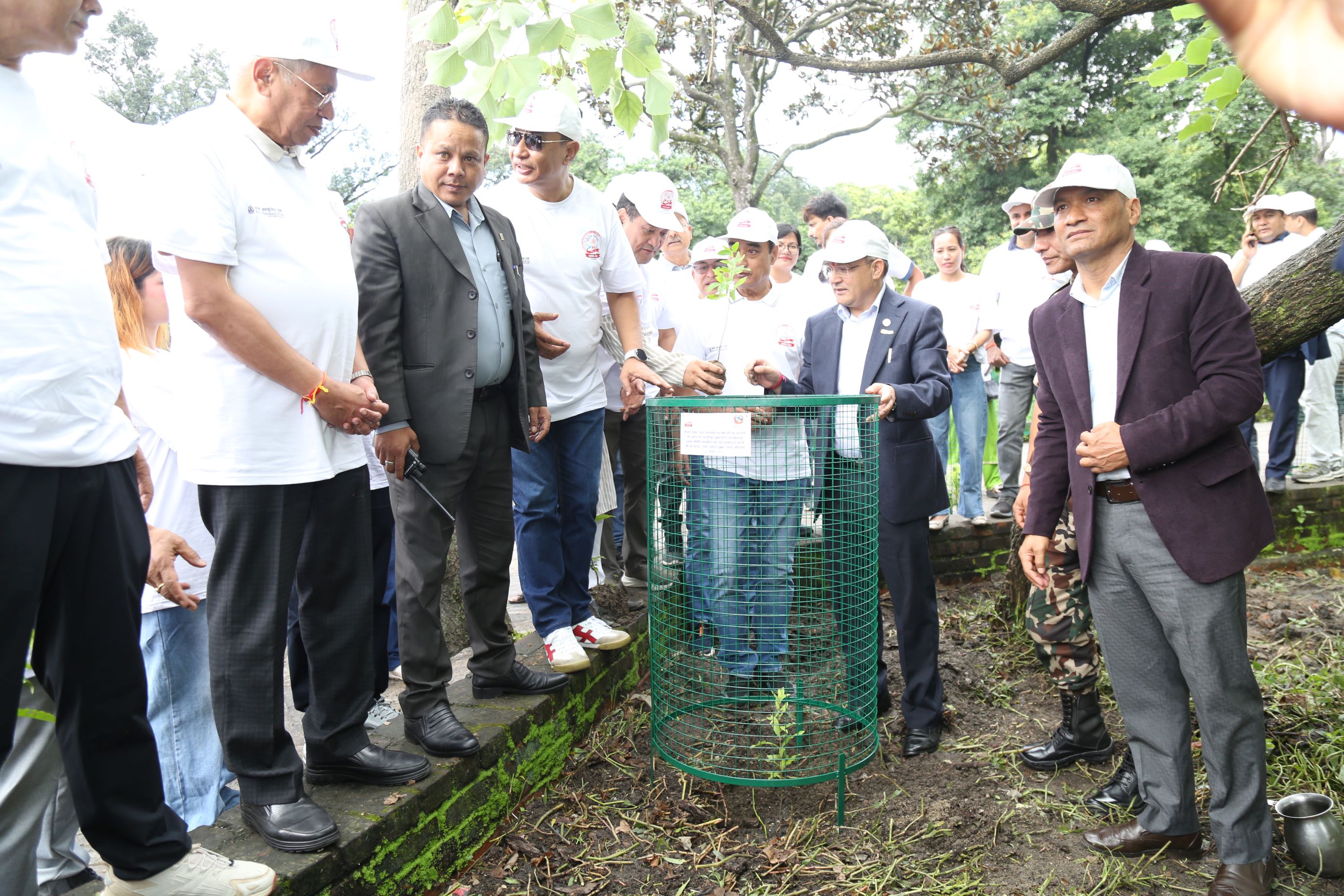नेपाल चेम्बर अफ कमर्सद्वारा हीरक जयन्तीको अवसरमा वृक्षारोपण