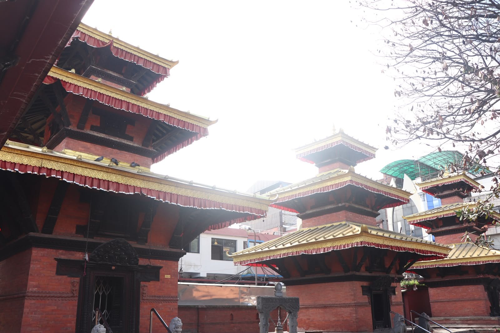 Picture No. 4