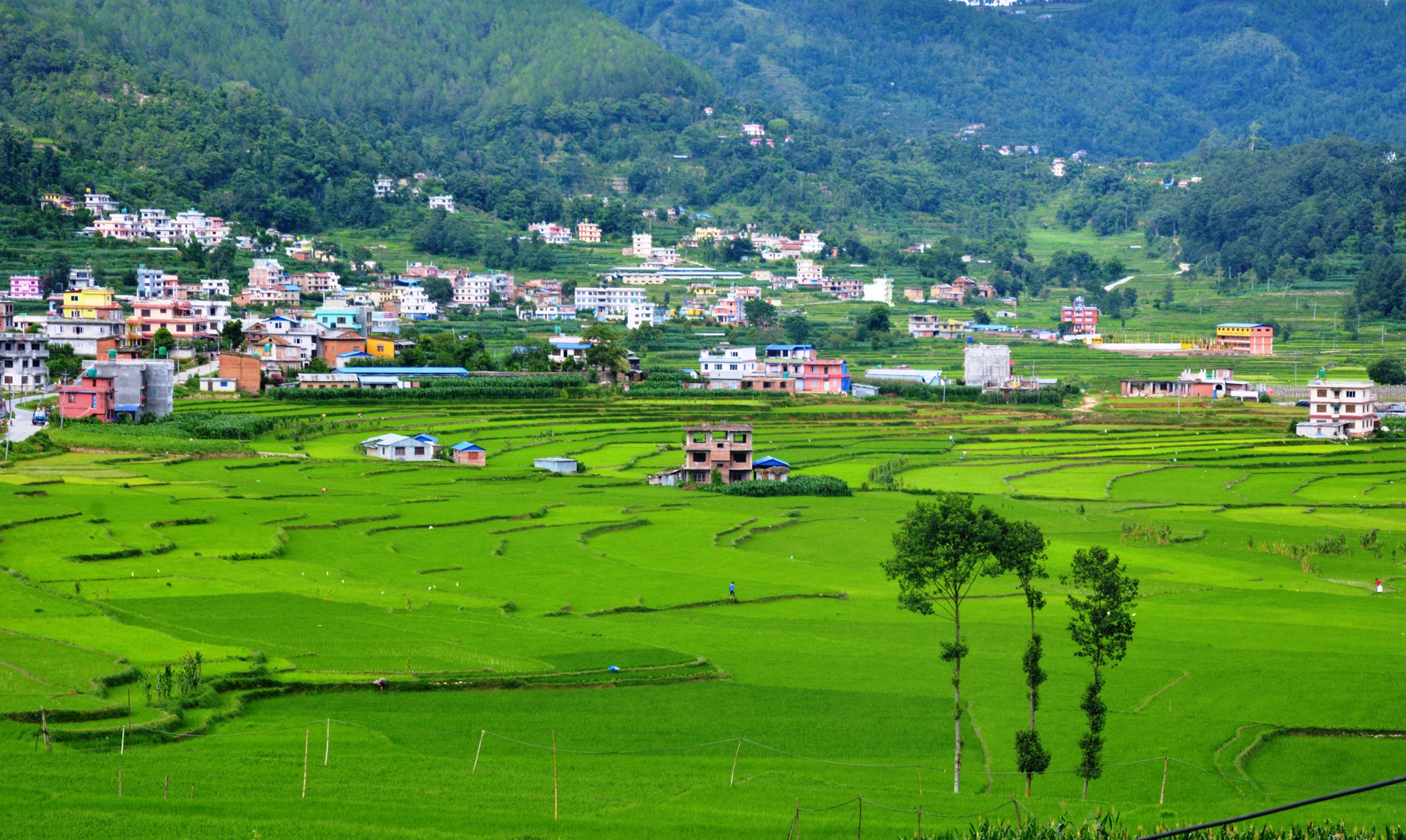शंखु फाँट