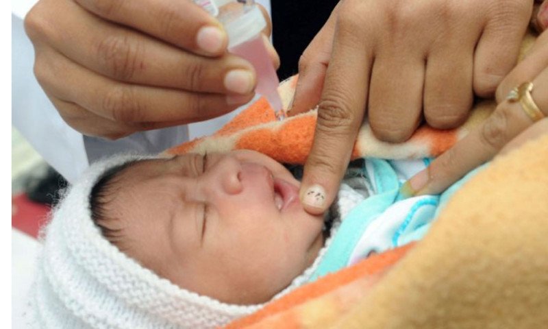२ लाख ३१ हजार बालबालिकाले खाए पोलियो थोपा