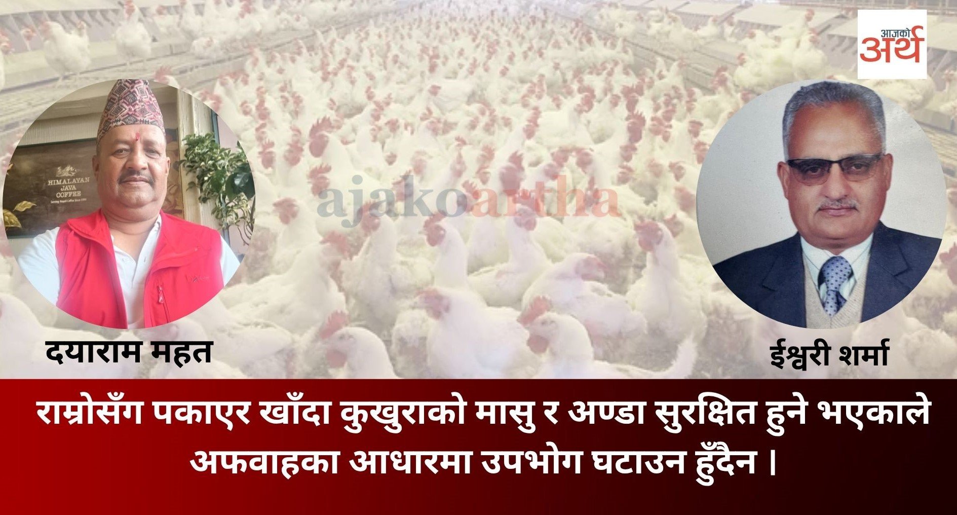 बर्डफ्लू जोखिम : कुखुराको मासु र अण्डा बिक्रीमा कमी, व्यवसायी चिन्तित