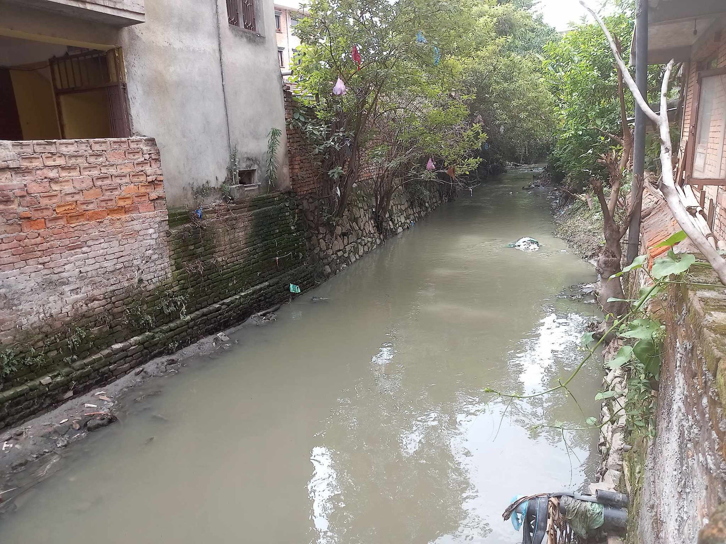 इच्छुमती (टुकुचा) सफाइ