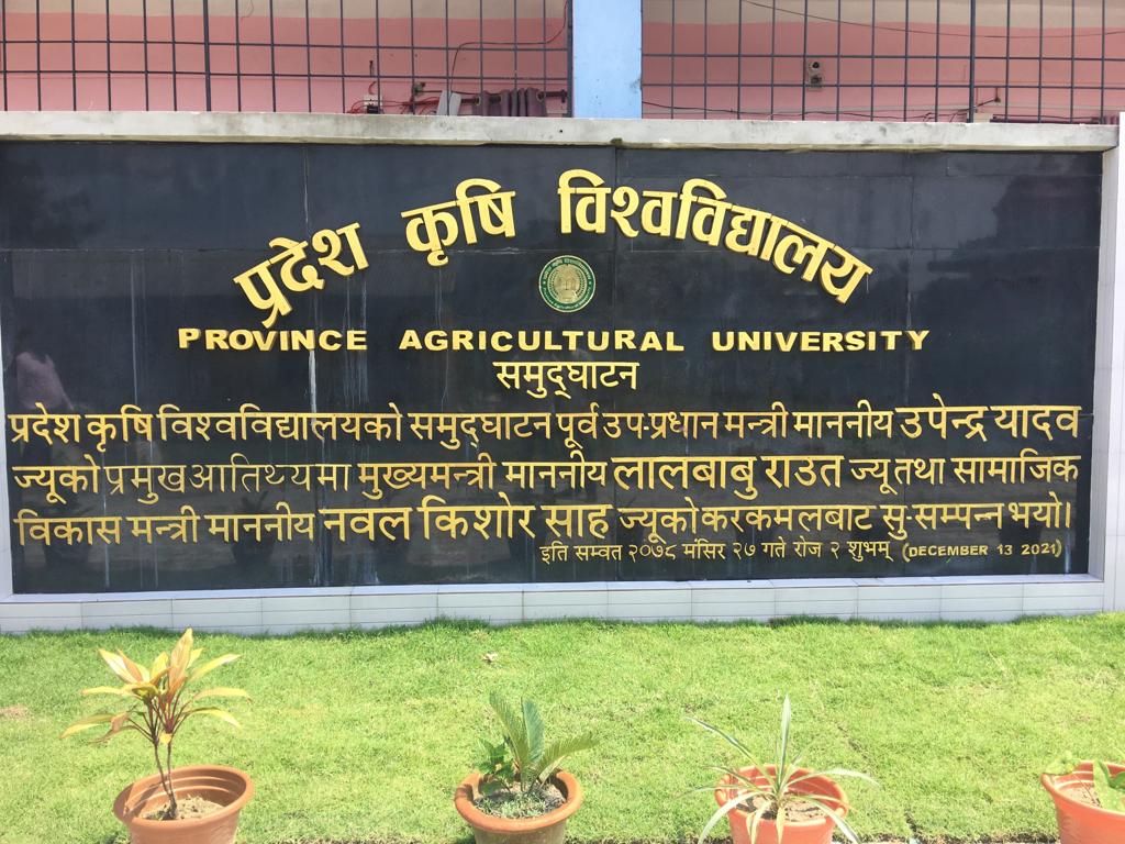 मधेस कृषि विश्वविद्यालयका उपकुलपति र रजिष्ट्रार पदबाट निलम्बन