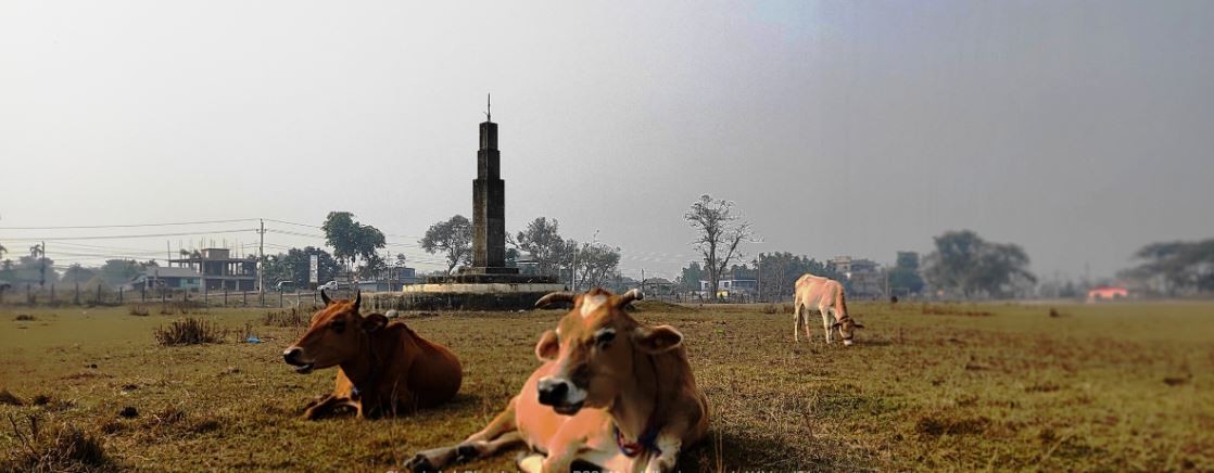 अलपत्र रङ्गशाला