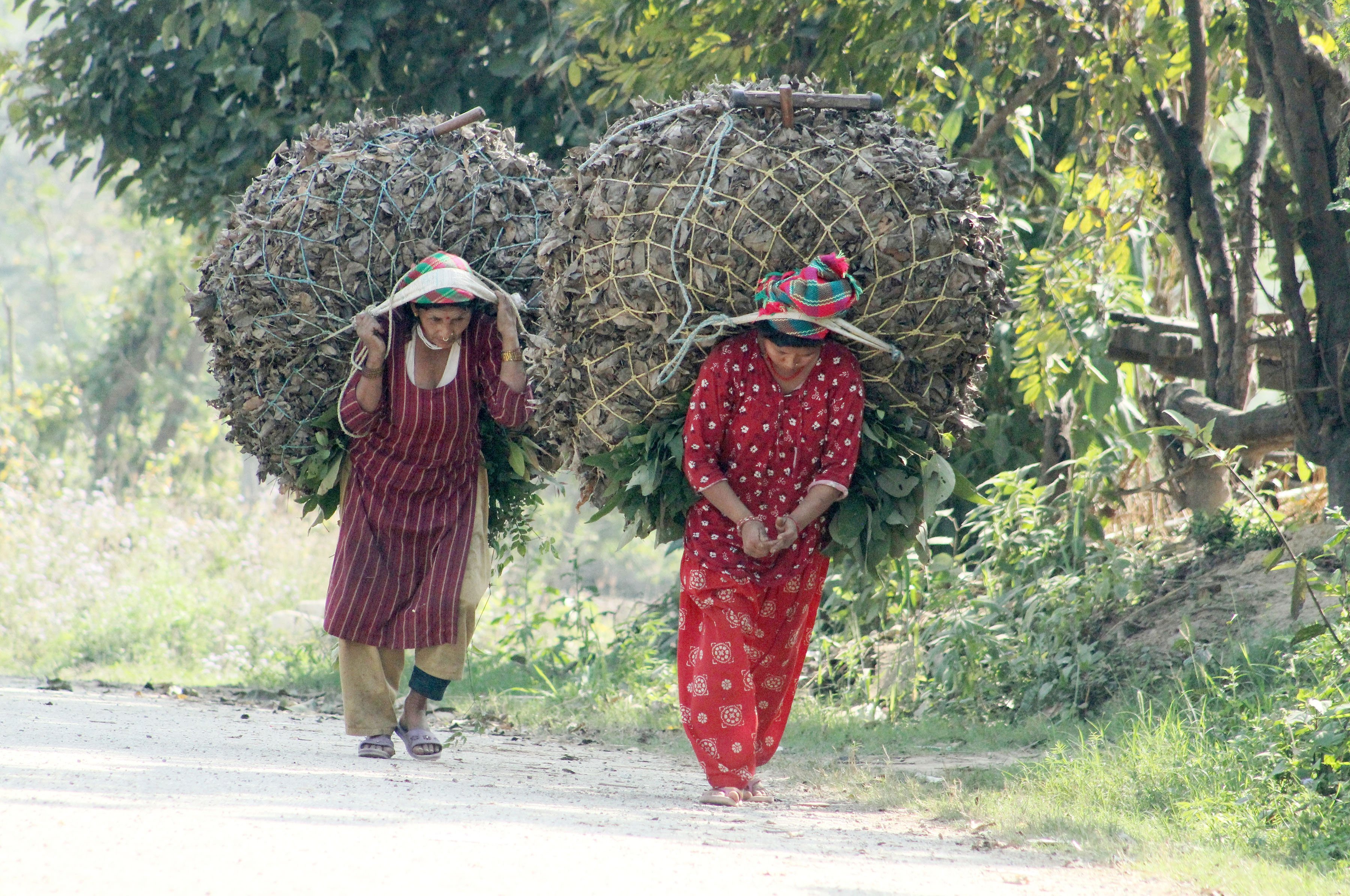 मल बनाउन पत्करको भारी ल्याइँदै (तस्बिर)