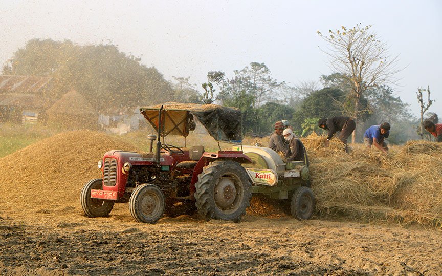 परालको भुसा काट्दै किसान (तस्बिर)