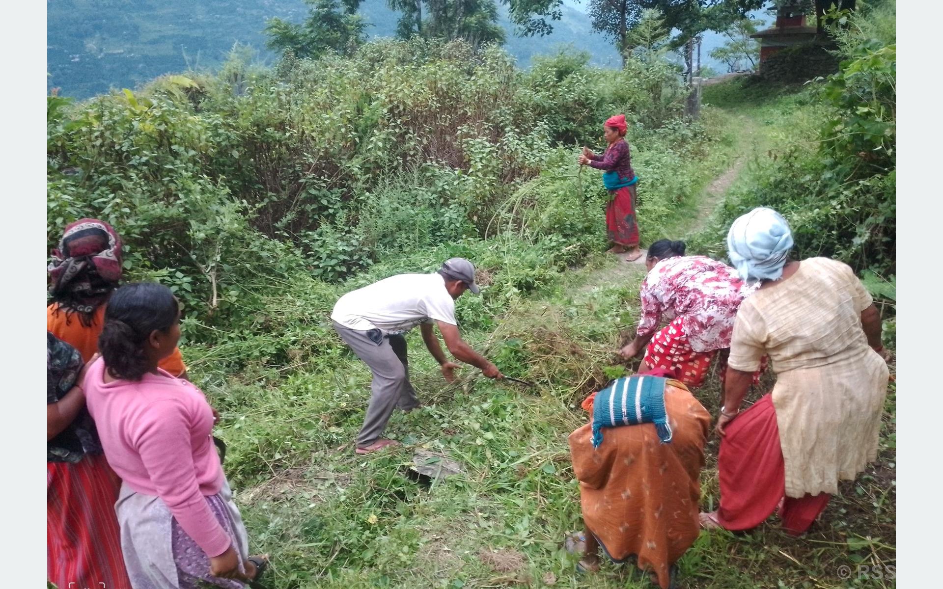 चाडपर्वका लागि गाउँघर सफा गर्दै चिमखोलाका स्थानीय