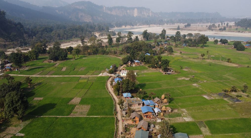 बढीगाउँको हरियाली फाँट