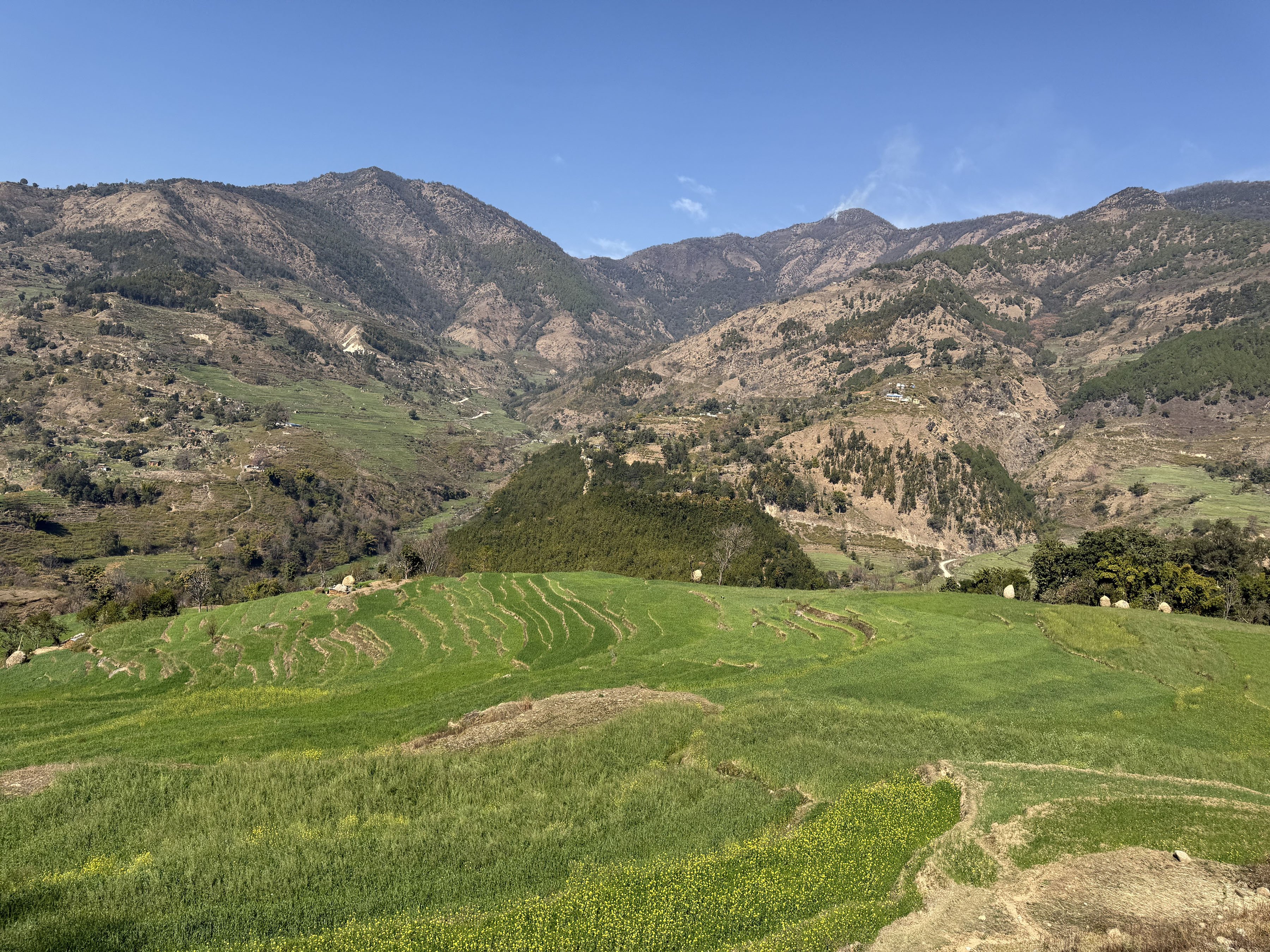 फाँटको हरियाली (तस्बिर)