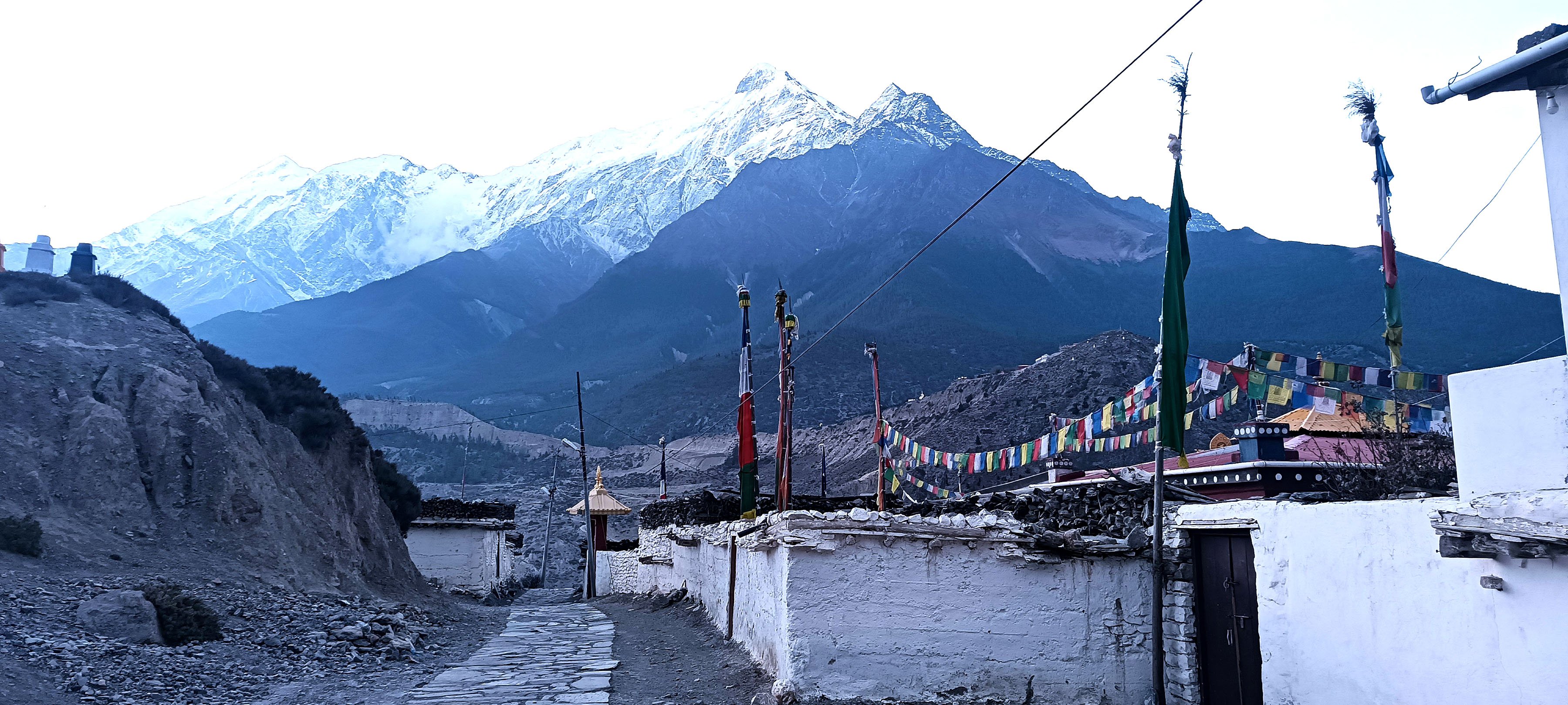 निलगिरी हिमालको मनमोहक दृश्य
