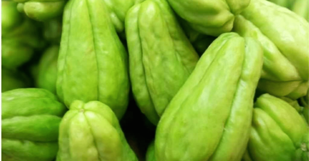 वैधानिक रुपमा भारतमा निर्यात हुँदै नेपाली स्कुस