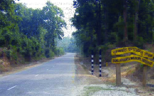 शुक्लाफाँटामा पर्यटक आवागमनमा वृद्धिः १३ दिनमा ६०० पर्यटक