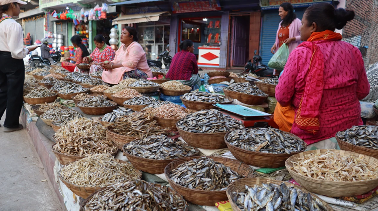 धरानमा फस्टाउँदै सिद्रा व्यापार