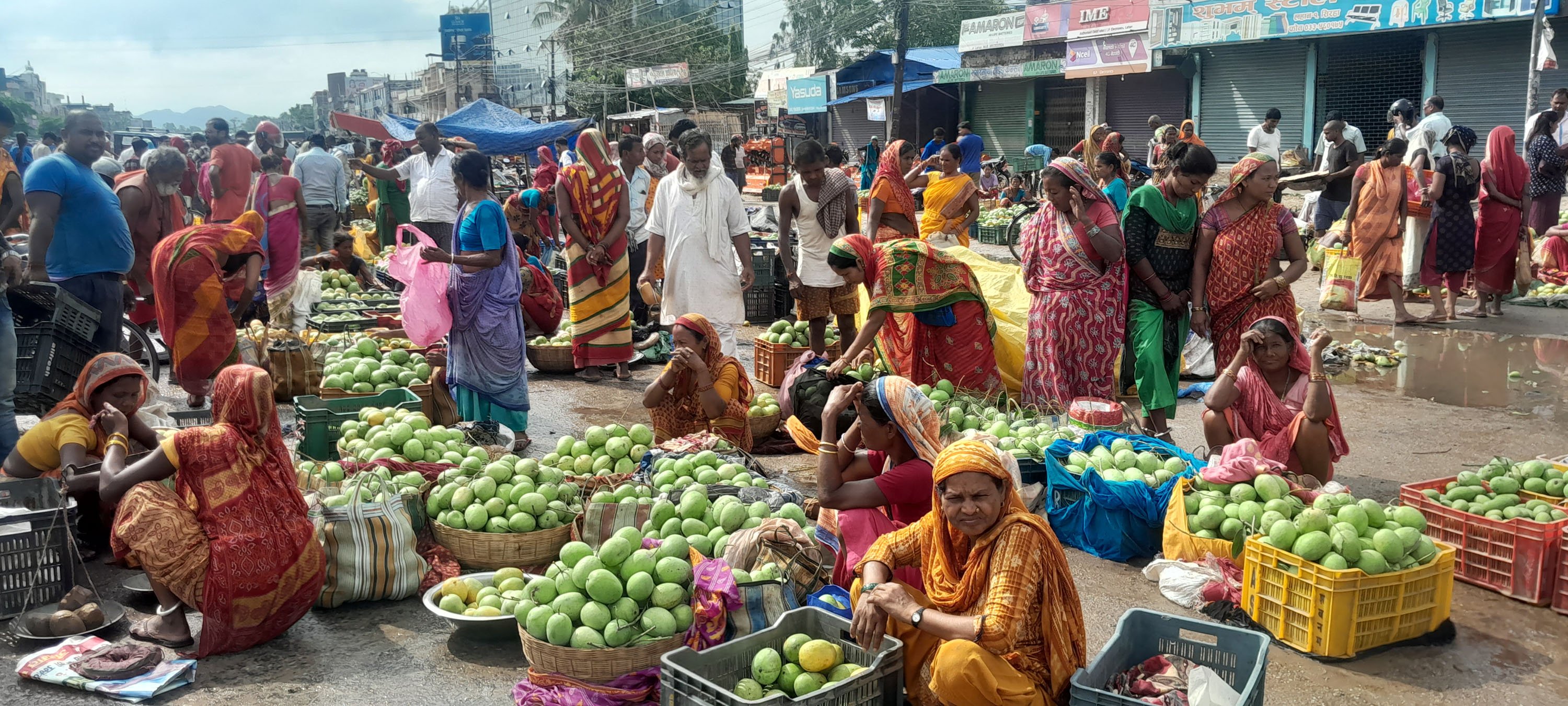 आँप बेच्दै किसान