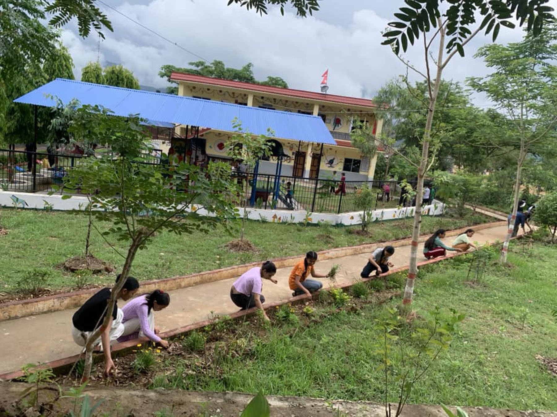 विरुवा रोपण