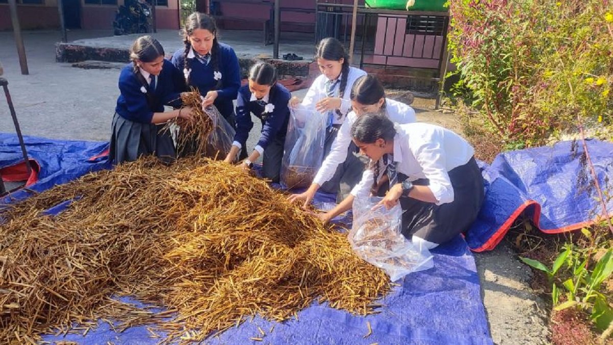विद्यालयमै च्याउखेती गदै विद्यार्थी