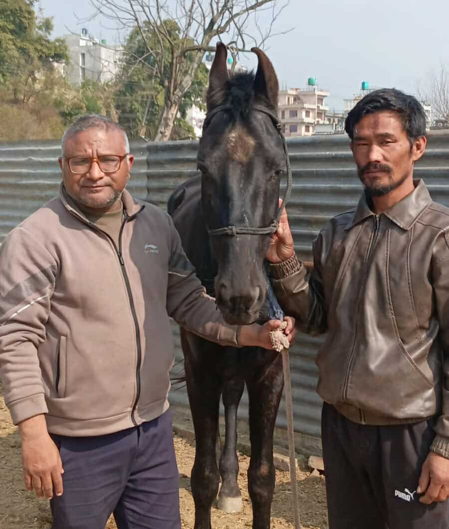 सृजना सूत्रले कलाकारहरूका लागि घोडचडी तालिम आयोजना गर्दै