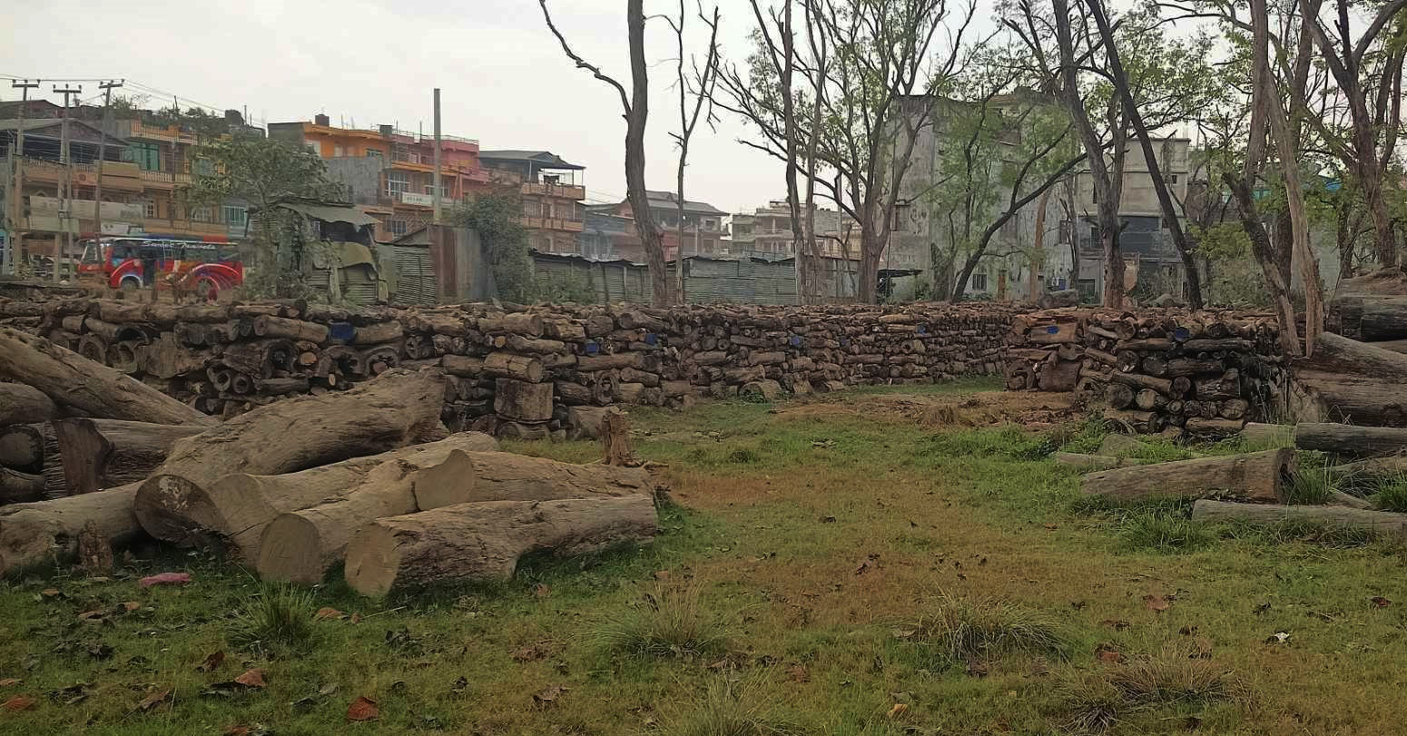 सामुदायिक वनको पक्षमा सर्वोच्चको आदेश