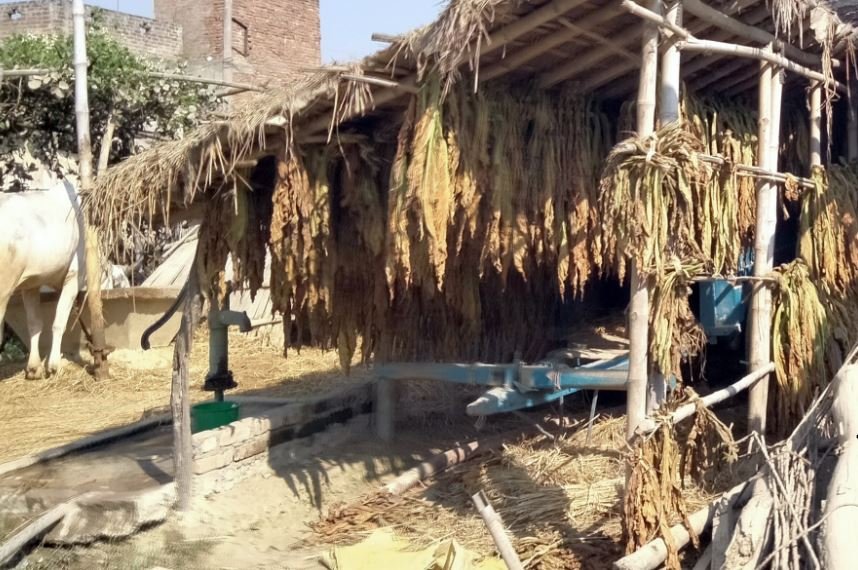 सूर्ति