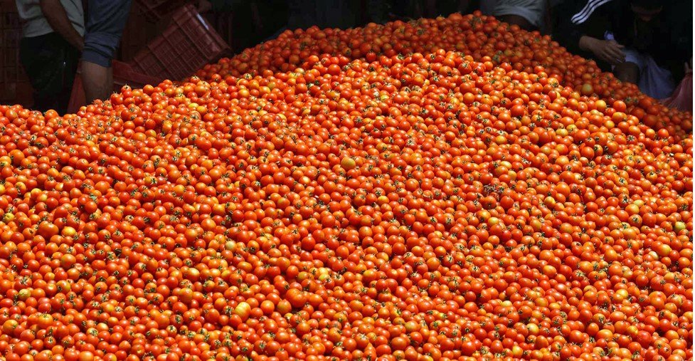 ७ रुपैया प्रतिकेजी गोलभेँडाको मूल्य कसरि हुन पुग्यो १ सय ८० ?