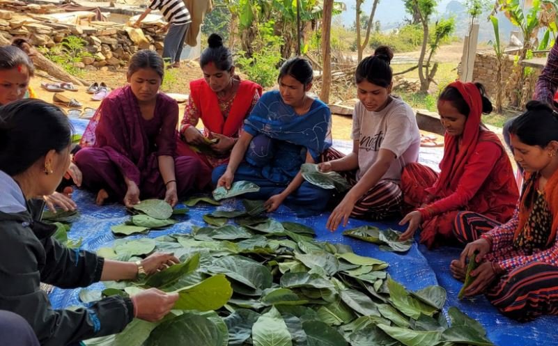 दुना टपरी बनाउने तालिम लिँदै