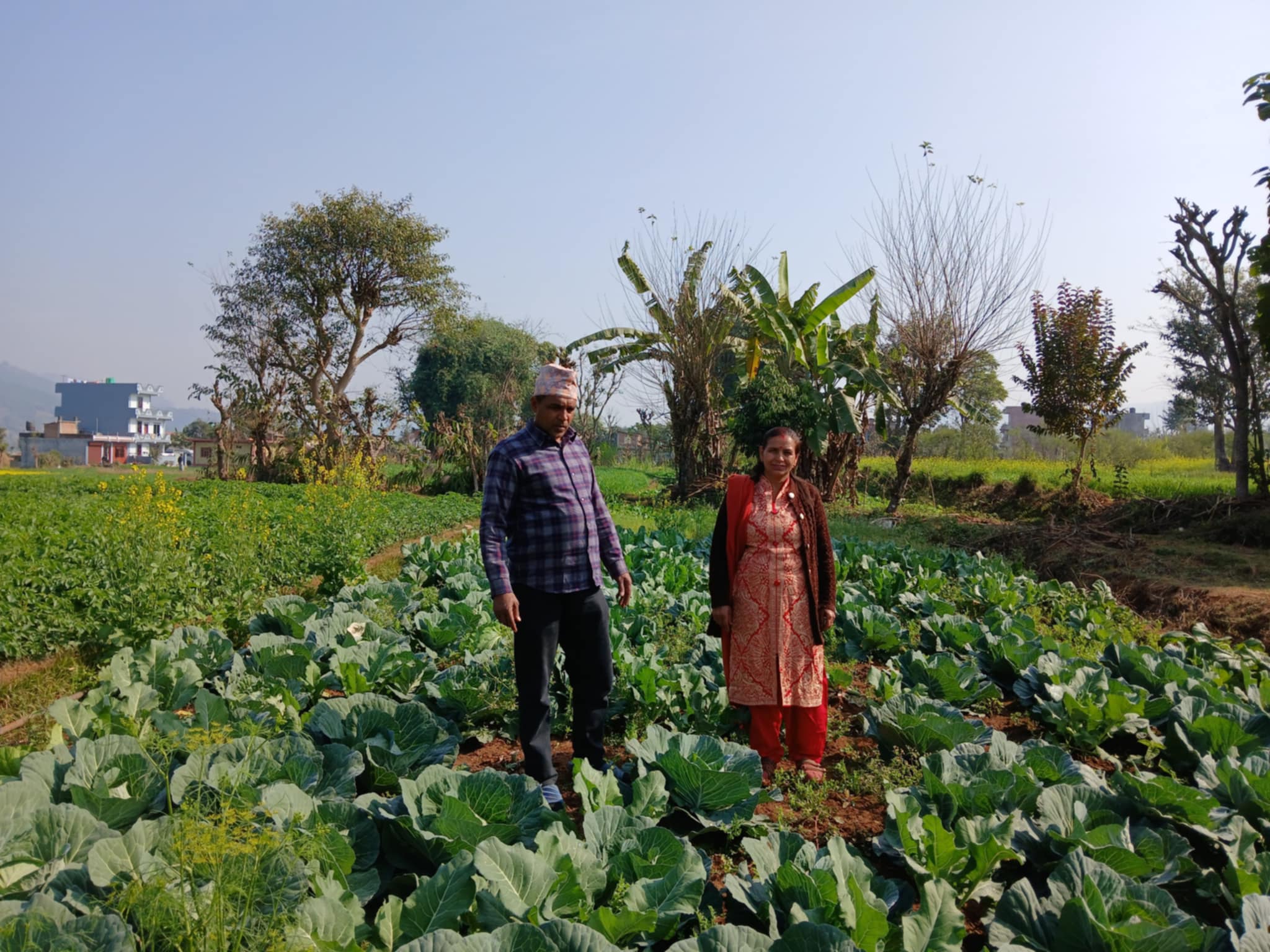 वडाध्यक्ष पोखरेलको लोभलाग्दो कृषि व्यवसाय