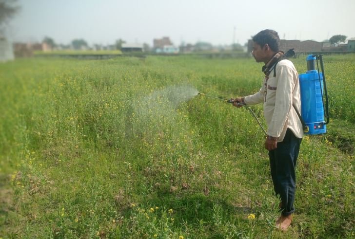 कीटनाशक औषधि छर्किंदै