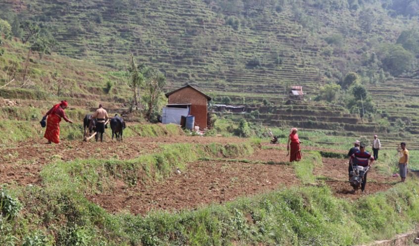 पुरानो र नयाँ प्रविधि एकै ठाउँमा