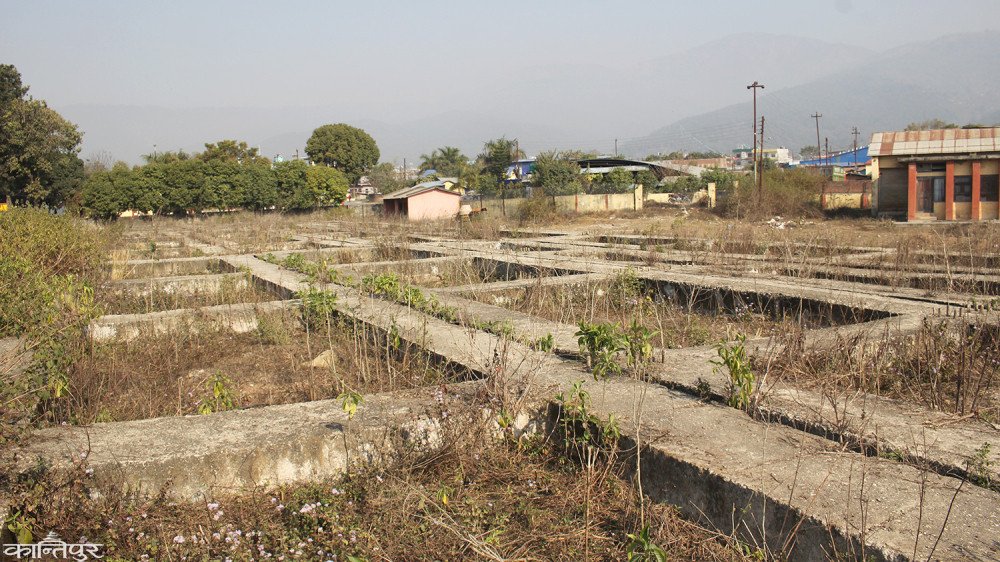 कोल्डस्टोर निर्माणको काम अलपत्र