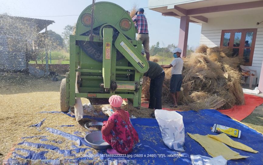 तोरी स्याहार्दै किसान