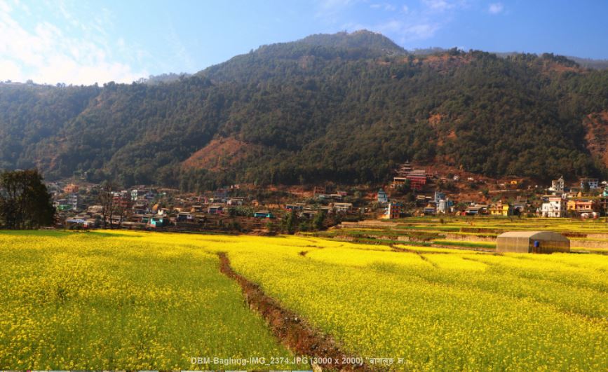 तोरीबारीको पृष्ठभूमिमा कुँडुले गाउँ