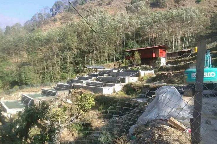 रेन्बो ट्राउट फर्म