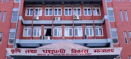 सरकारसँग असन्तुष्ट छन् दुग्ध किसान
